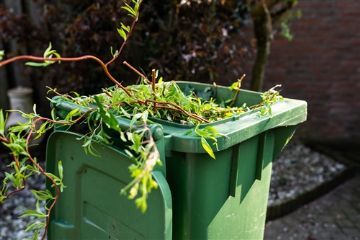 Calendario raccolta rifiuto verde e sfalci anno 2025